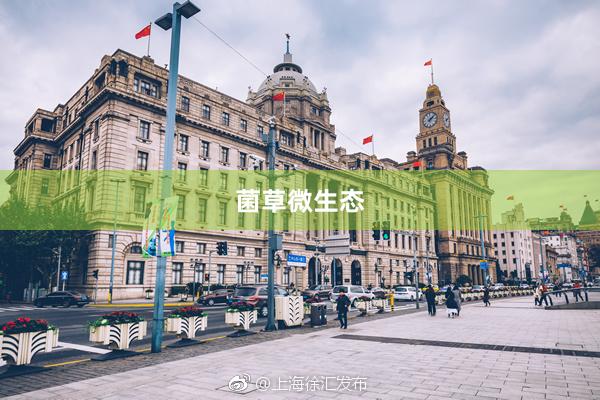 菌草微生态
