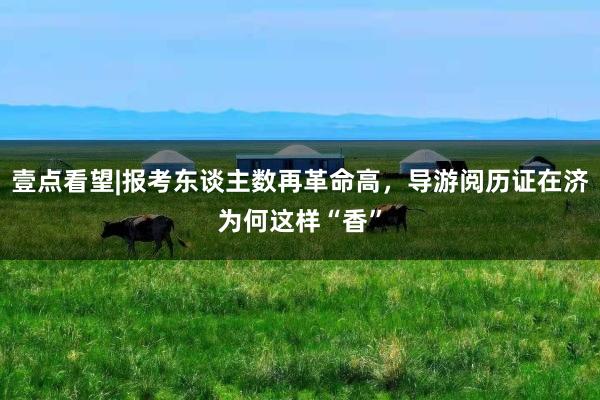 壹点看望|报考东谈主数再革命高，导游阅历证在济为何这样“香”
