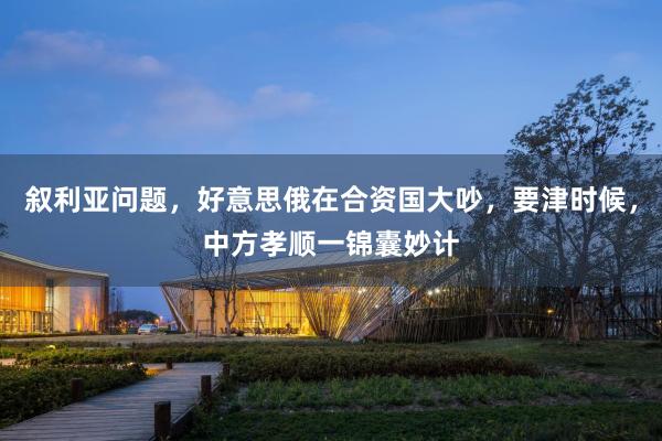 叙利亚问题，好意思俄在合资国大吵，要津时候，中方孝顺一锦囊妙计