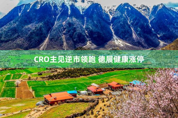 CRO主见逆市领跑 德展健康涨停