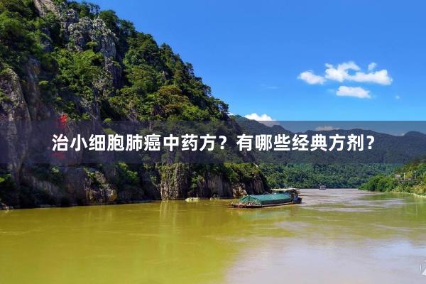 治小细胞肺癌中药方？有哪些经典方剂？